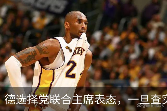 德选择党联合主席表态，一旦查实乌参与北溪管道爆炸，将面临后果